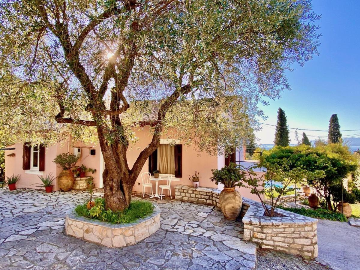 Villa Aliki Nissaki With Private Pool By Dadovillas ニサキオン エクステリア 写真